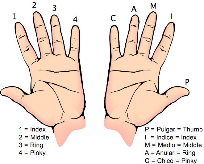 finger-names-fusionharmony